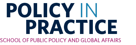 Policy in Practice branding